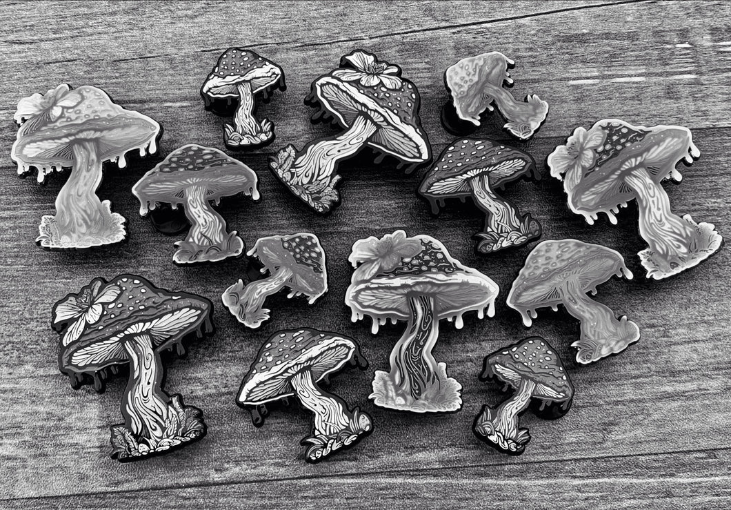 Fungi SINGLES BLIND BAG